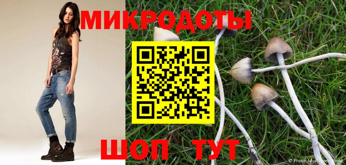 Псилоцибиновые грибы MAGIC MUSHROOMS  Вход с VPN  Галлюциногенные грибы мухоморы  Будённовск 